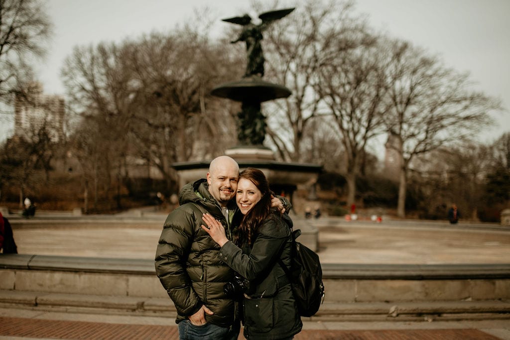 central park proposal