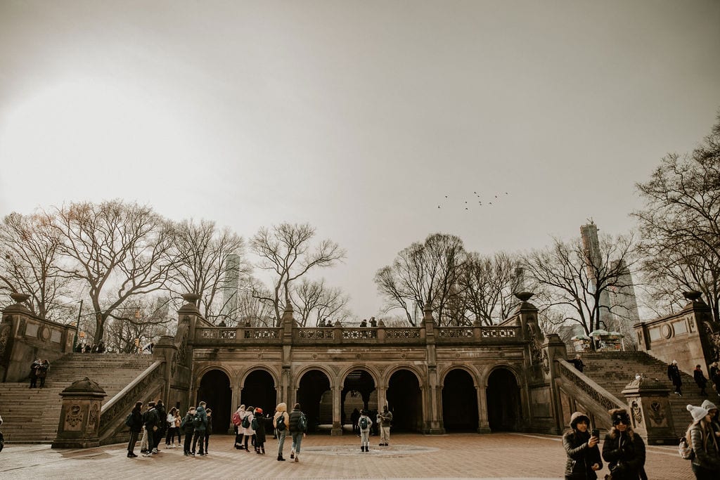 central park proposal