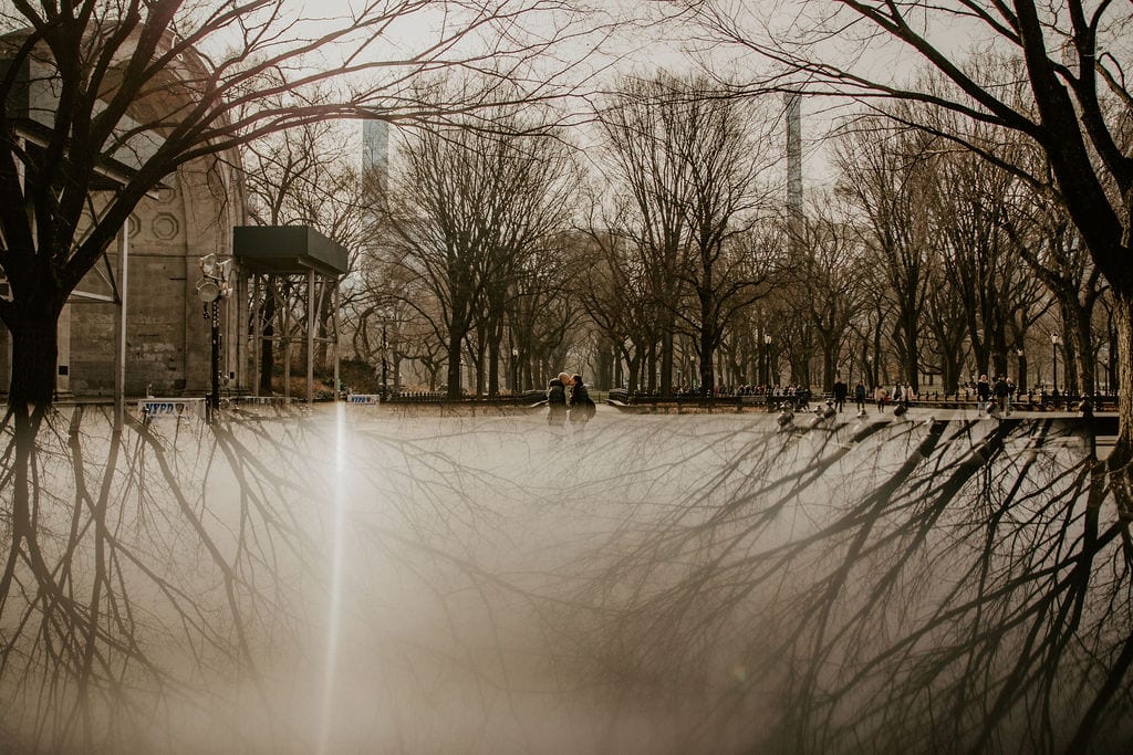 central park proposal