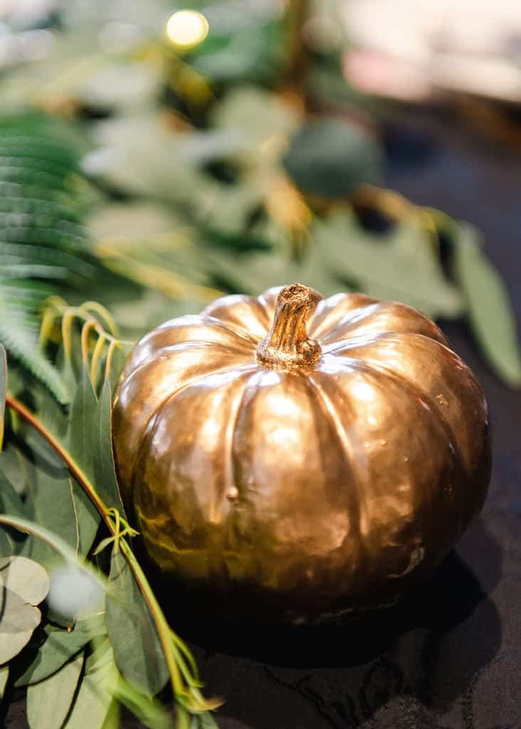 halloween pumpkin