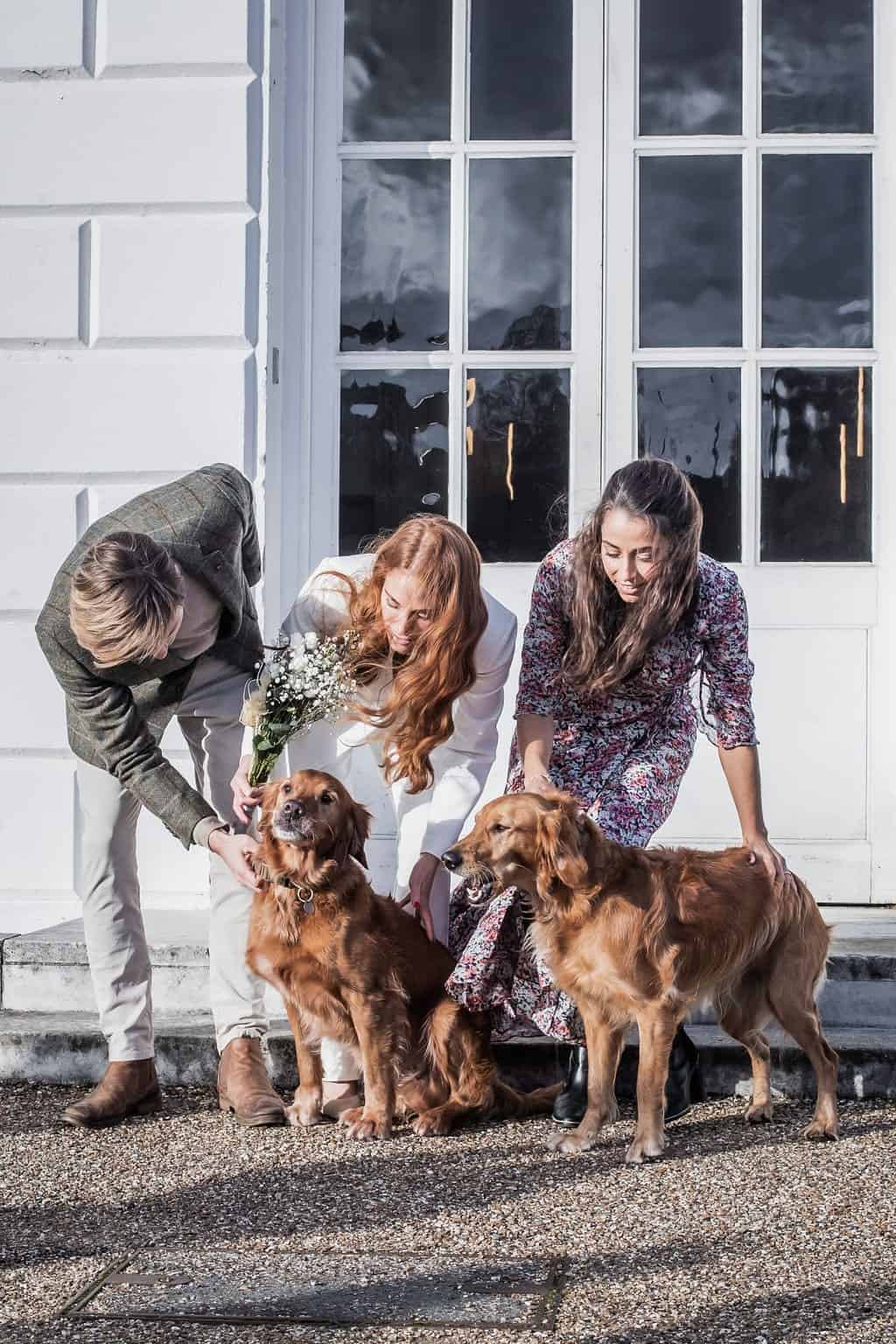 bride and dogs