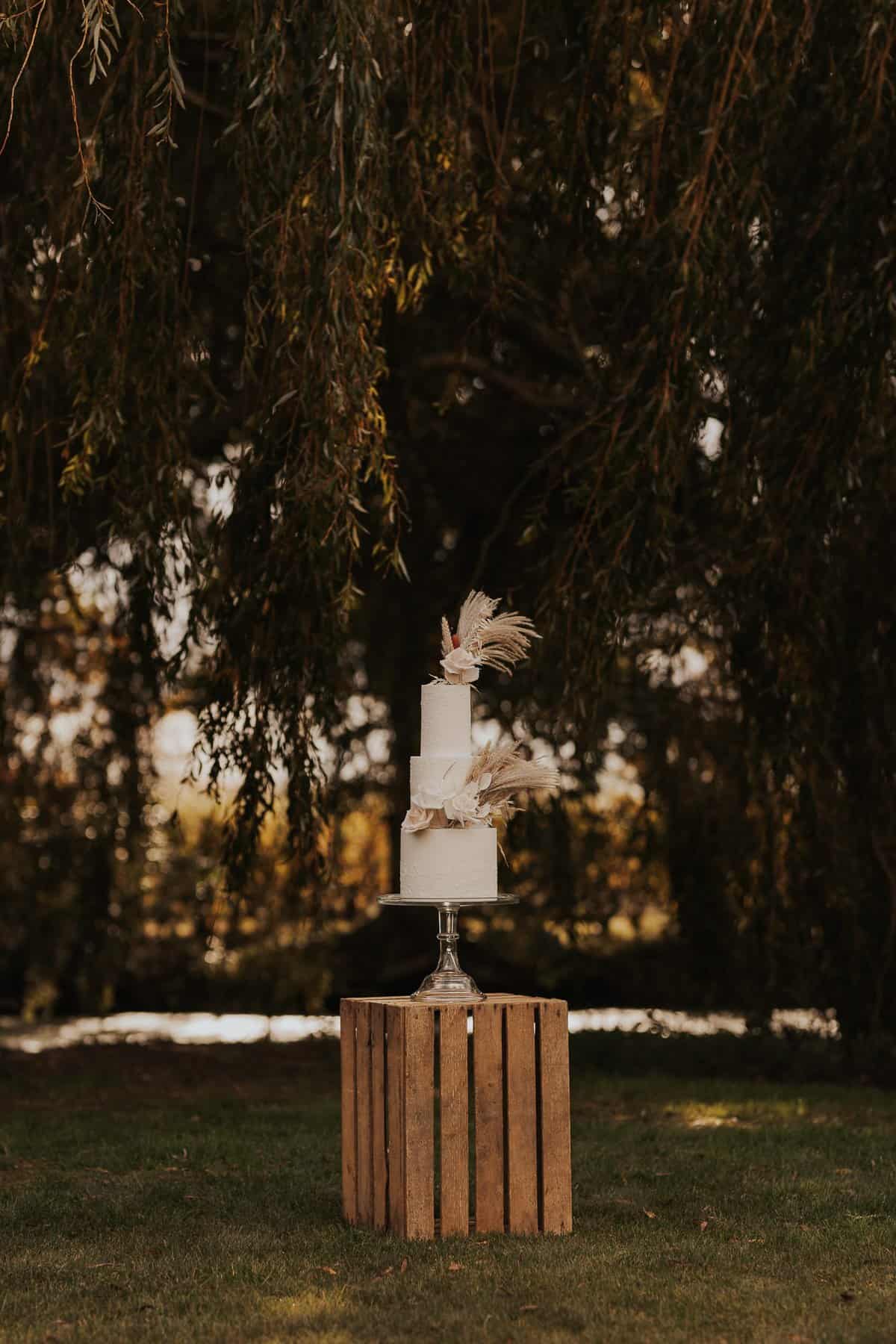 wedding cake outside