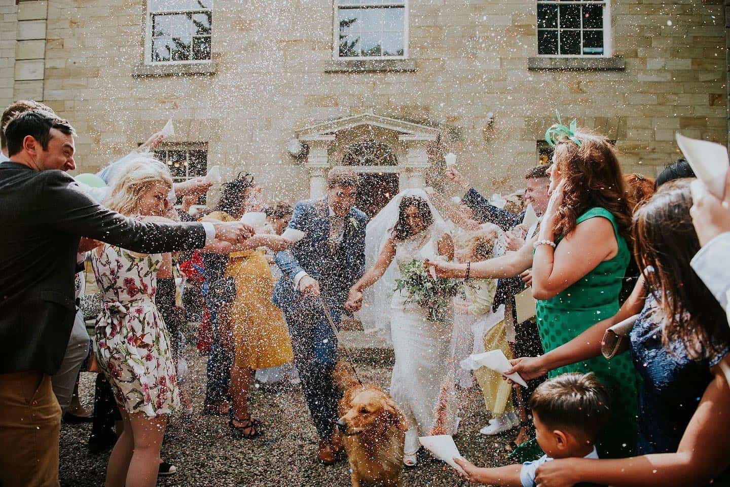 summer wedding phot with dog