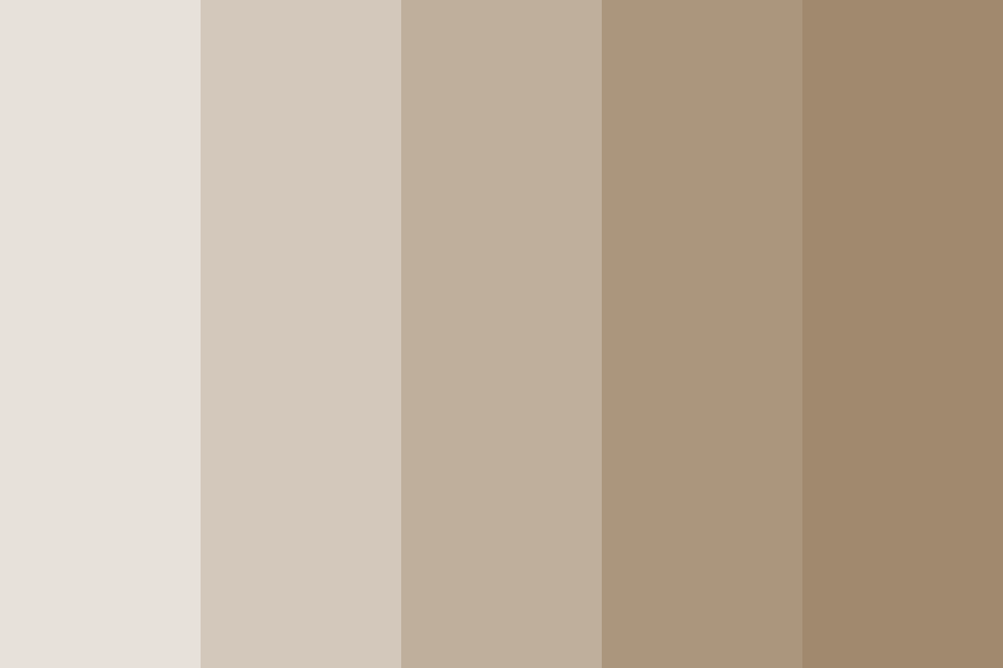 colour palette of different shades of taupe
