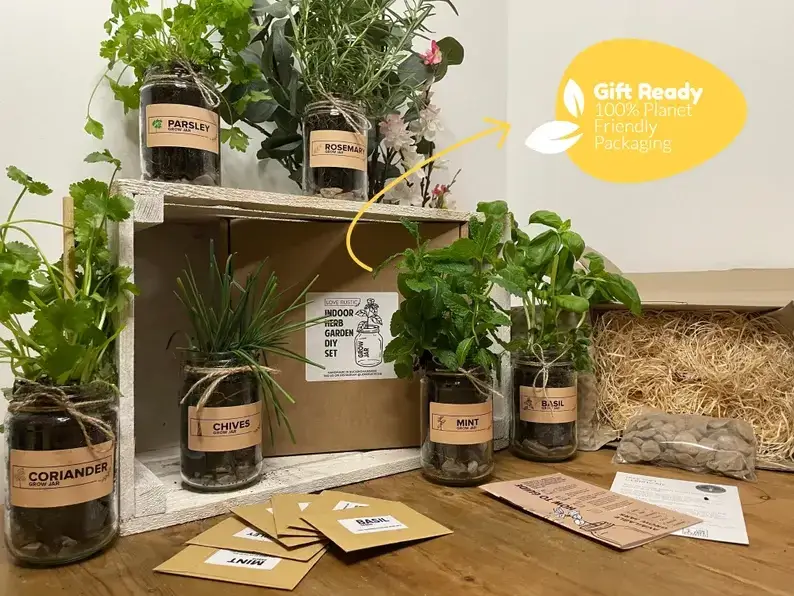 grow your own herb kit
