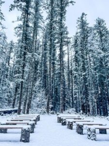 snowy winter wonderland wedding ceremony set up